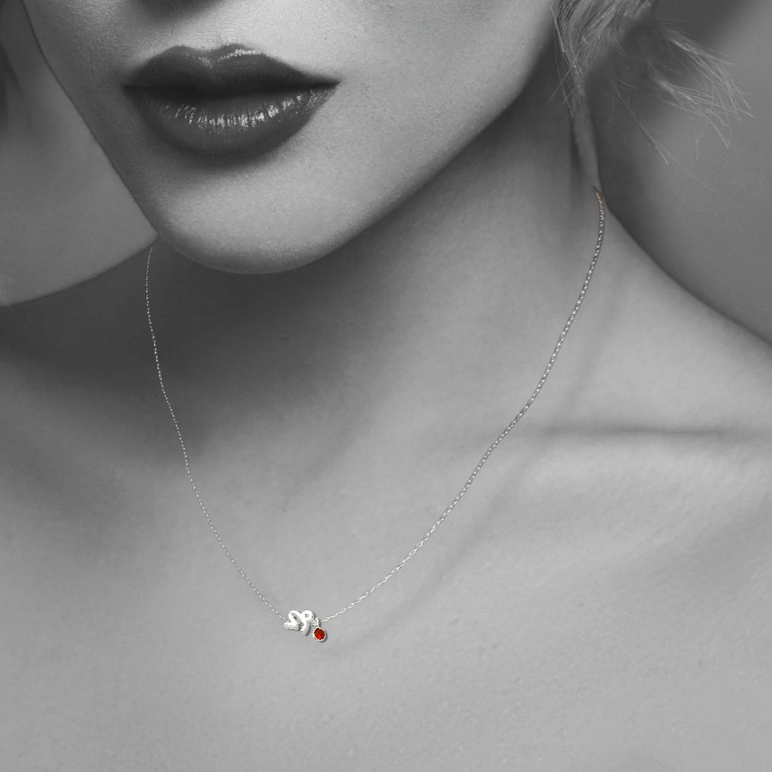 Silver Capricorn Zodiac Sign Necklace