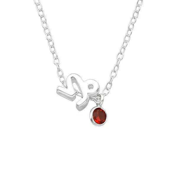 Silver Capricorn Zodiac Sign Necklace