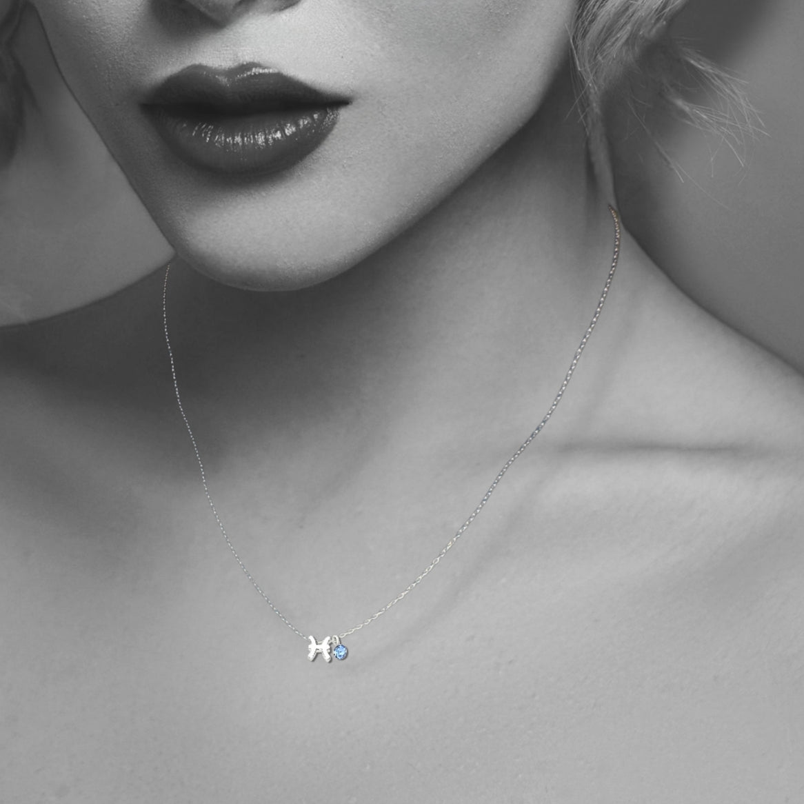 Silver Pisces Necklace with Crystal