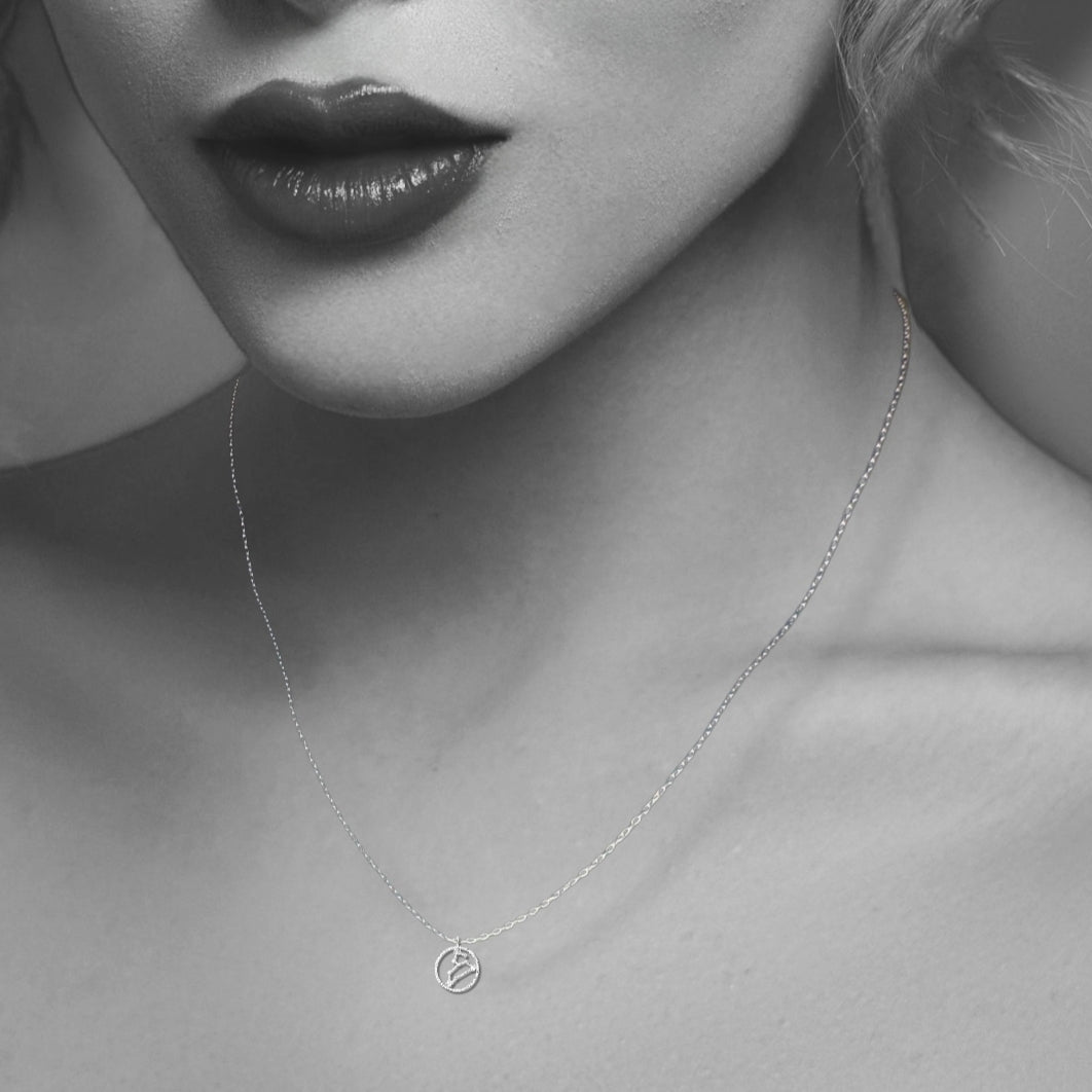 Silver Leo Zodiac Sign Necklace
