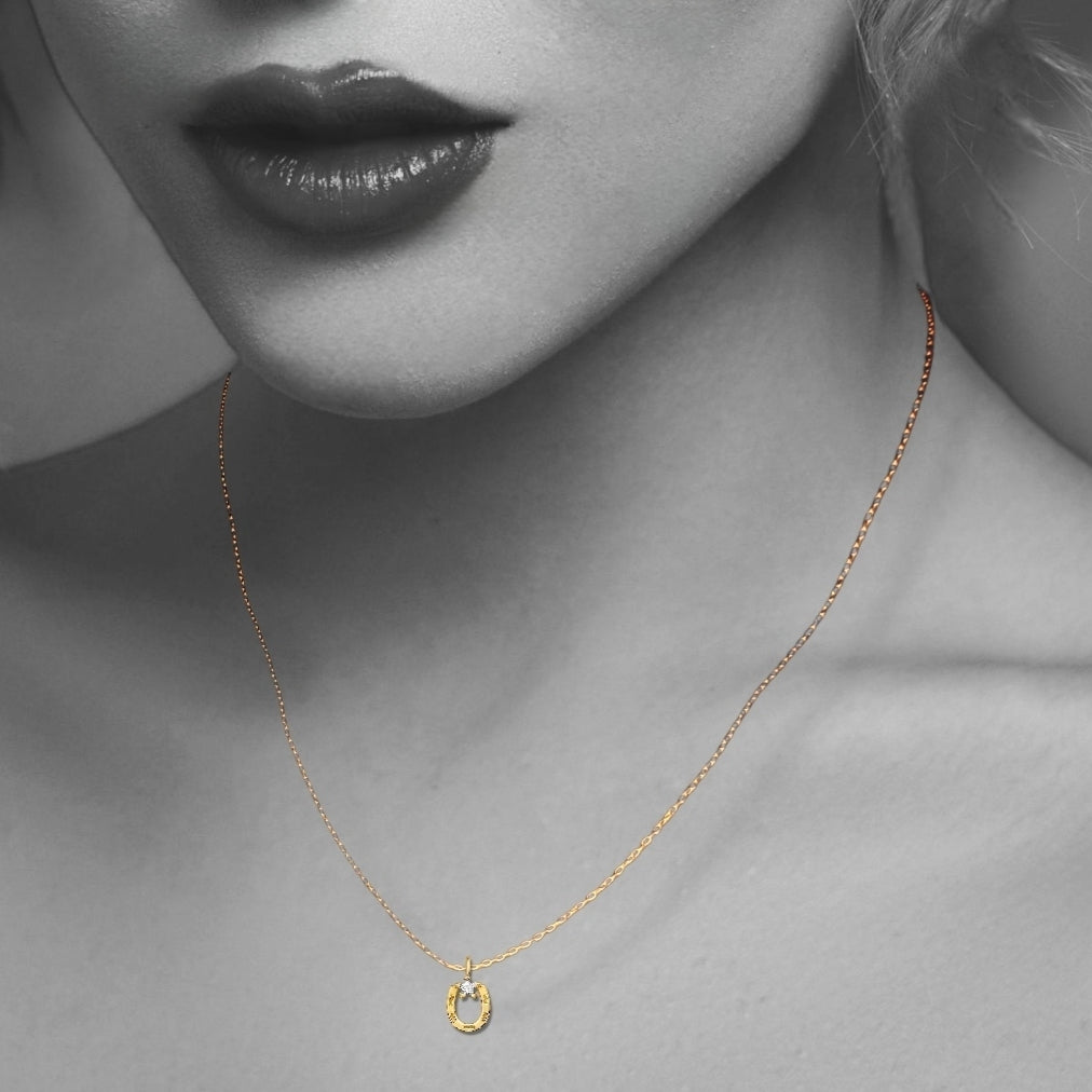 Horseshoe Sterling Silver Necklace with Cubic Zirconia
